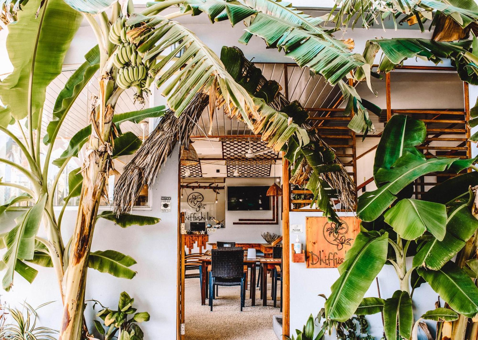 Dhiffushi Inn מראה חיצוני תמונה